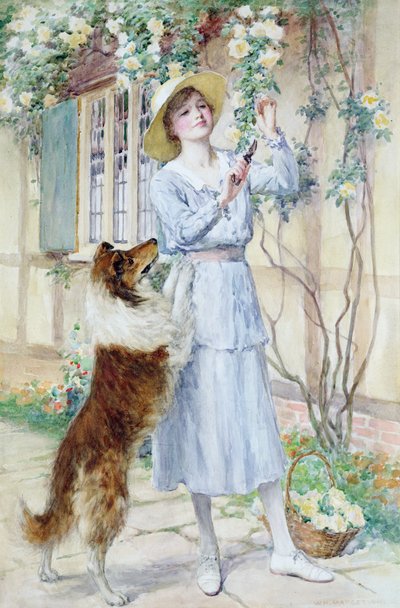 Zbieranie róż (akwarela na papierze) autorstwa William Henry Margetson