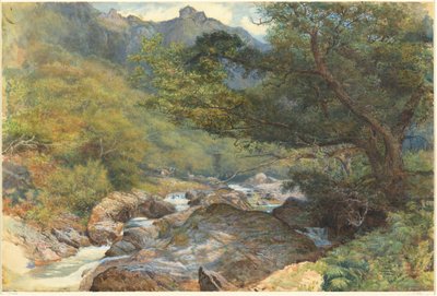 Na wschodnim Lyn, North Devon autorstwa William Henry Millais