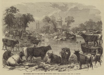 Rogata Hostia w Bois de Boulogne, Paryż autorstwa William Henry Prior