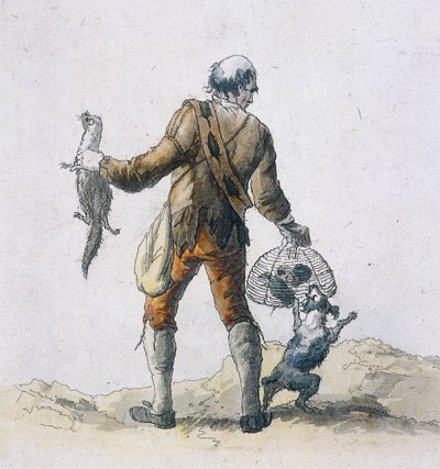 Szczurołap, Postacie Prowincjonalne, 1804 autorstwa William Henry Pyne