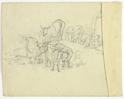 Bydło (rekto); Szarlatan (verso) autorstwa William Henry Pyne