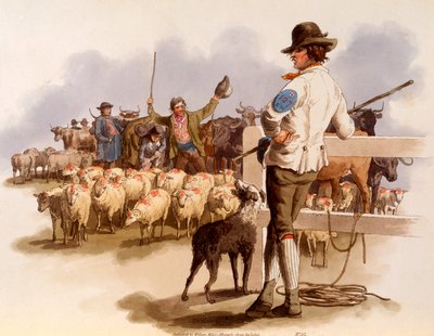 Smithfield Drover, z „Kostiumy Wielkiej Brytanii”, 1808 autorstwa William Henry Pyne