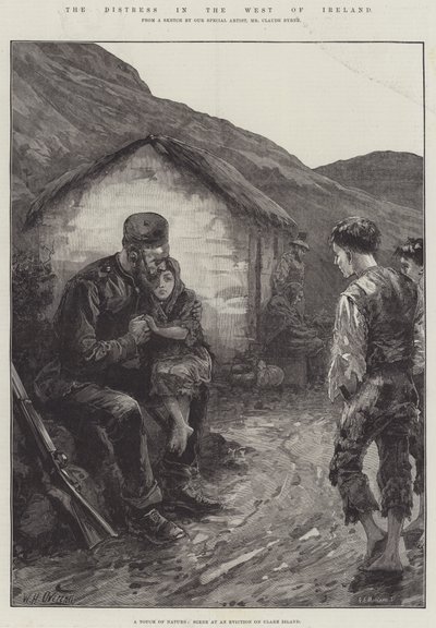 Niepokój na zachodzie Irlandii autorstwa William Heysham Overend