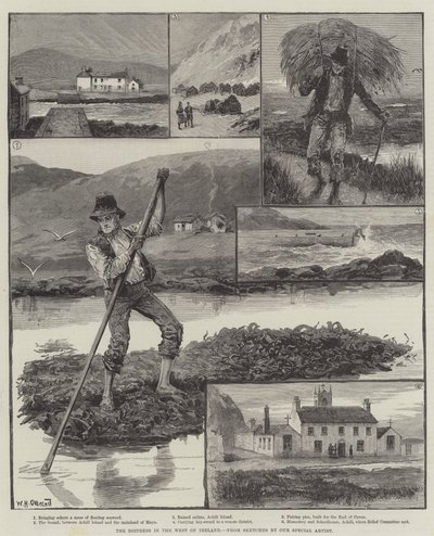 Niepokój na zachodzie Irlandii autorstwa William Heysham Overend