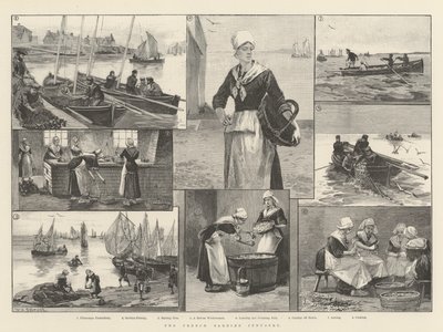 Francuski przemysł sardynek autorstwa William Heysham Overend
