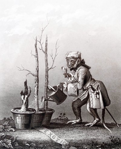 Fragment ogona do katalogu artysty autorstwa William Hogarth