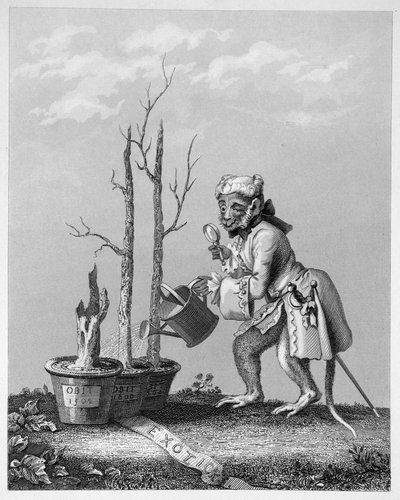 Ogon, kawałek do katalogu artystów, 1761 autorstwa William Hogarth