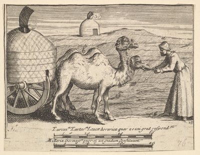 Dwa dromadery Aubry de La Mottrayes Podróżuje po Europie, Azji i części ..., 1723-24. autorstwa William Hogarth