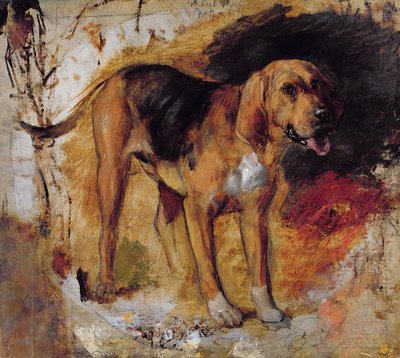 Studium ogara autorstwa William Holman Hunt