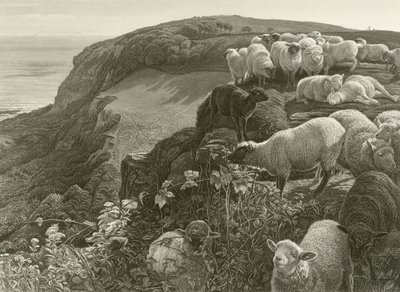 Na zboczu wzgórza (grawerowanie) autorstwa William Holman Hunt