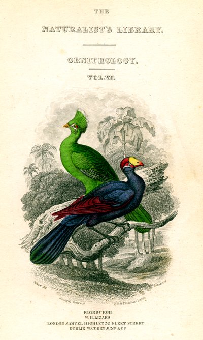 Biblioteka Przyrodników, Ornitologia, Senegal Touraco, Zjadacz babki fioletowej, c1833-1865. autorstwa William Home Lizars