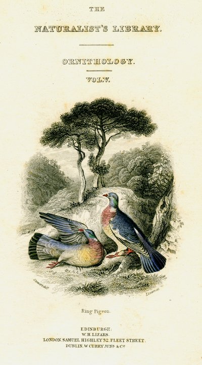 Biblioteka Przyrodników, Ornitologia, tom V, Ring Pigeon, c1833-1865. autorstwa William Home Lizars