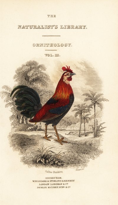 Strona tytułowa z winietą czerwonego ptactwa (Javan), Gallus gallus bankiva autorstwa William Home Lizars