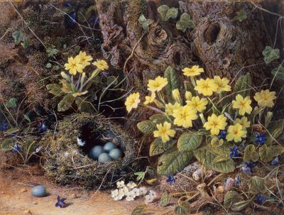 Martwa natura z ptasim gniazdem, pierwiosnkami i fiołkami (ołówek i akwarela) autorstwa William Hough