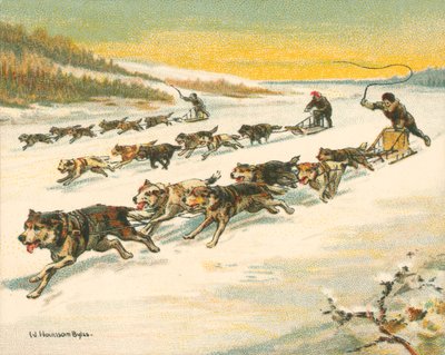 Wyścigi Historyczne i współczesne, kanadyjskie wyścigi psich zaprzęgów (chromolitho) autorstwa William Hounsom Byles