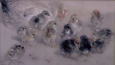 Badanie kurcząt autorstwa William Huggins
