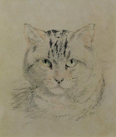 Kot pręgowany, 1874 (ołówek, kredka i węgiel na papierze) autorstwa William Huggins