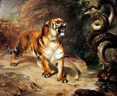 Tygrys i pyton autorstwa William Huggins