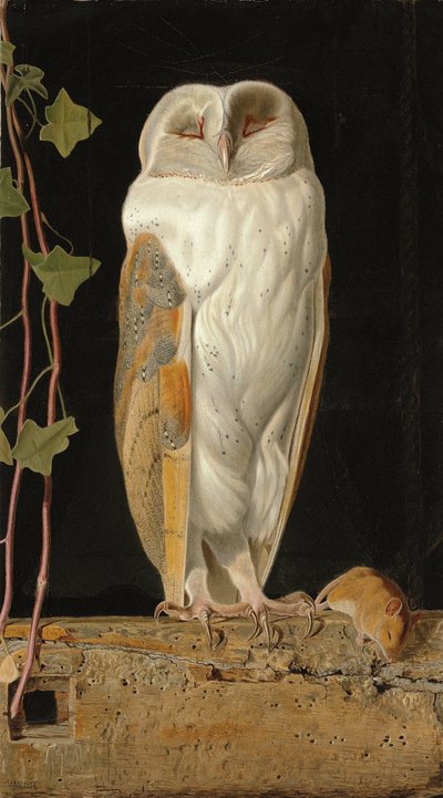 Biała Sowa: „Sam i rozgrzewając swoje pięć rozumów, w dzwonnicy siedzi biała sowa”, 1856 autorstwa William J. Webbe