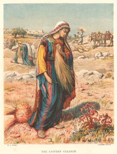 The Eastern Gleaner (kolorowa rycina) autorstwa William J. Webbe or Webb