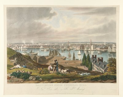Baltimore z Federal Hill autorstwa William James Bennett