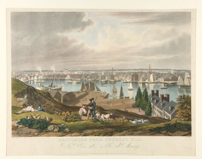 Baltimore widziane z Federal Hill autorstwa William James Bennett