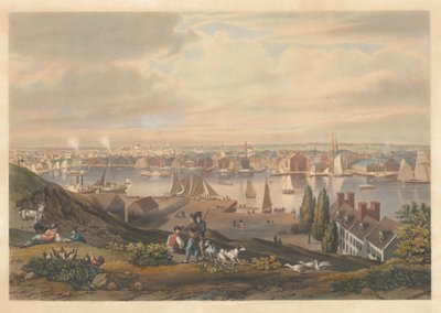 Baltimore widziane z Federal Hill autorstwa William James Bennett