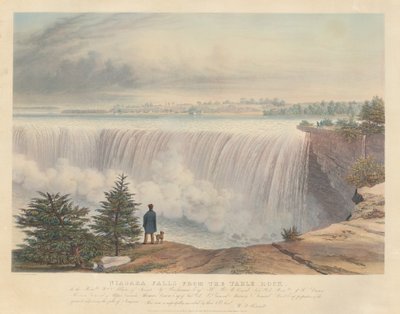 Wodospad Niagara widziany z Table Rock autorstwa William James Bennett