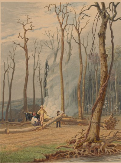 Wiosna — palenie powalonych drzew na opasanej polanie. Scena zachodnia, 1841. autorstwa William James Bennett