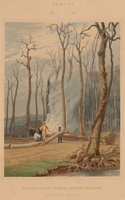 Wiosna — palenie powalonych drzew na opasanej polanie. Scena zachodnia autorstwa William James Bennett after George Harvey