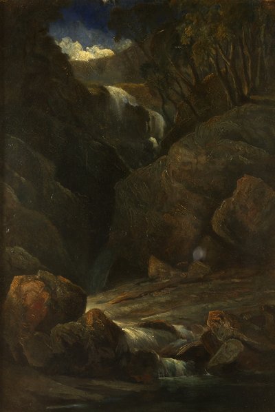 Wodospad autorstwa William James Muller