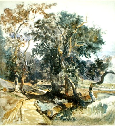 Ścieżka leśna (ołówek i akwarela na papierze) autorstwa William James Muller