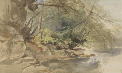Twarz w Stapleton Wood, niedaleko Bristolu autorstwa William James Muller