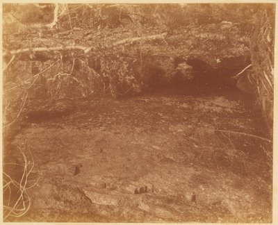Bez tytułu, z portfolio The Forest: Adirondack Woods autorstwa William James Stillman