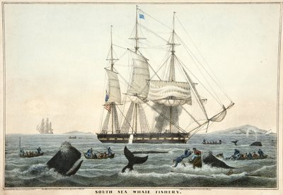 Łowisko wielorybów na Morzu Południowym, wyd. 1825 (litografia kolorowa) autorstwa William John Huggins