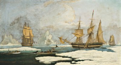 Północne rybołówstwo wielorybów: Statek Harmony of Hull i inne związane z lodem wieloryby, polujące na foki, narwale i wieloryby w Cieśninie Davisa autorstwa William John Huggins