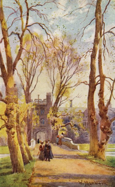Most i aleja Trinity College z bramą prowadzącą do nowego dziedzińca autorstwa William Matthison