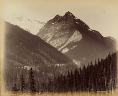 Ross Peak i pętla ze schroniska śnieżnego nr 19 autorstwa William McFarlane Notman