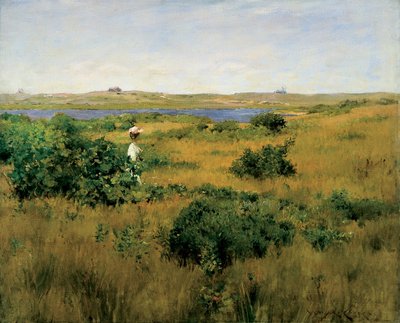 Lato na wzgórzach Shinnecock autorstwa William Merritt Chase