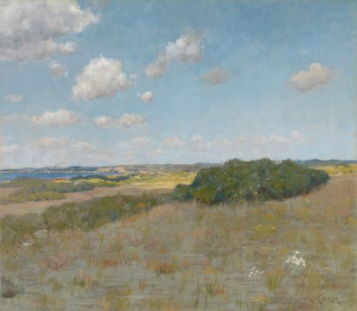Światło słoneczne i cień, Wzgórza Shinnecock autorstwa William Merritt Chase