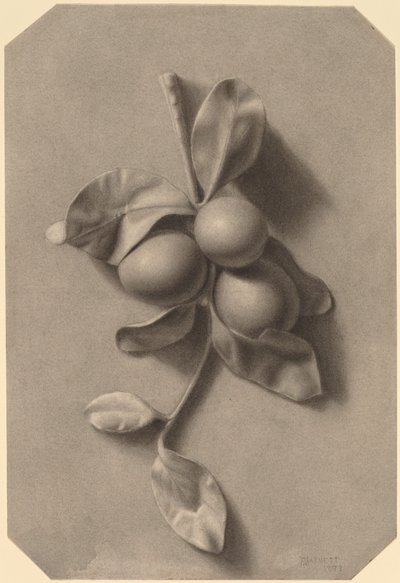 Gałązka śliwek autorstwa William Michael Harnett