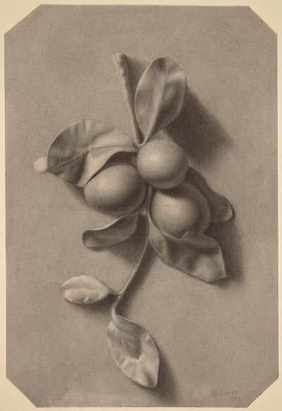  autorstwa William Michael Harnett