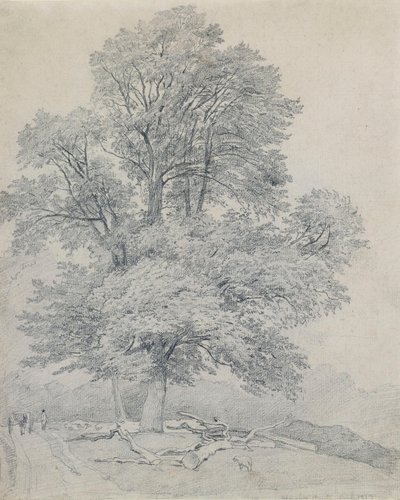  autorstwa William Mulready