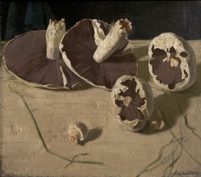 Grzyby autorstwa William Nicholson