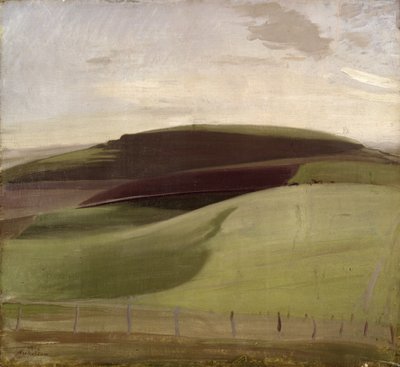 On the Downs (Krajobraz Wiltshire) 1924 (olej na płótnie) autorstwa William Nicholson