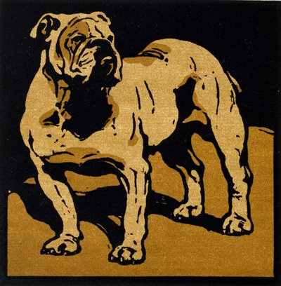 Brytyjski Bull-Dog, z „Kwadratowej księgi zwierząt”, wydanej przez Williama Heinemanna autorstwa William Nicholson