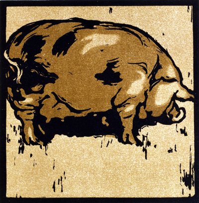 Uczona świnia, z „Kwadratowej księgi zwierząt”, wydanej przez Williama Heinemanna autorstwa William Nicholson