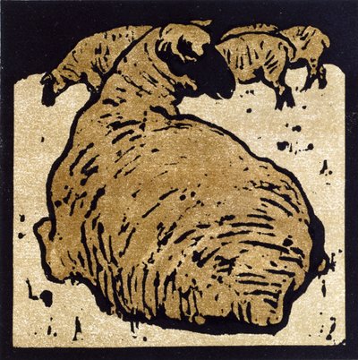 Prosta owca, ilustracja z „Kwadratowej księgi zwierząt”, wydanej przez Williama Heinemanna autorstwa William Nicholson