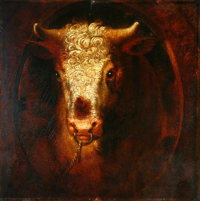 Głowa byka (olej na desce drewnianej) autorstwa William Overend Geller