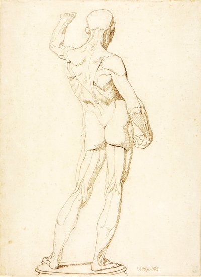 (Ecorche, widok z tyłu) autorstwa William Page